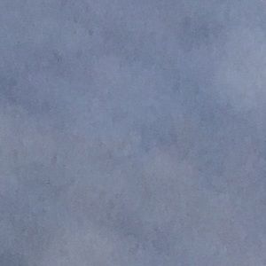 Meet your Posher, Bridgett